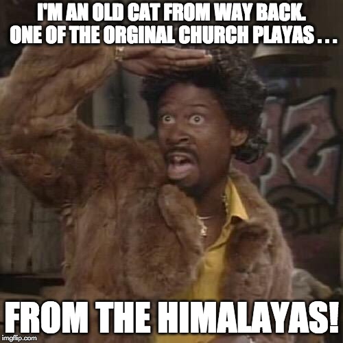 Cats From Way Back Series Image